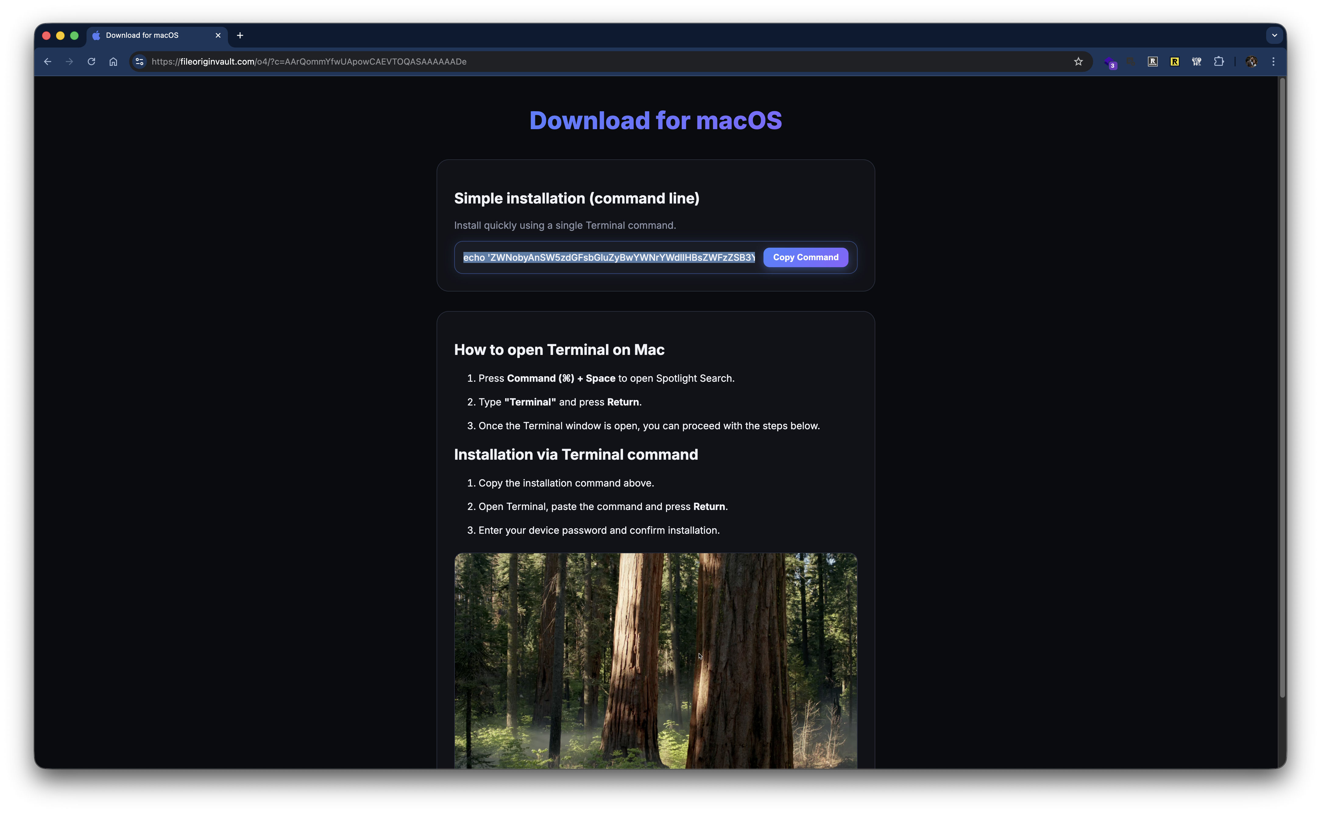 Pirated game site showing one-click copy button and terminal command instructions